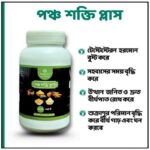 পঞ্চ শক্তি প্লাস